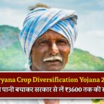 Haryana Crop Diversification Yojana 2026