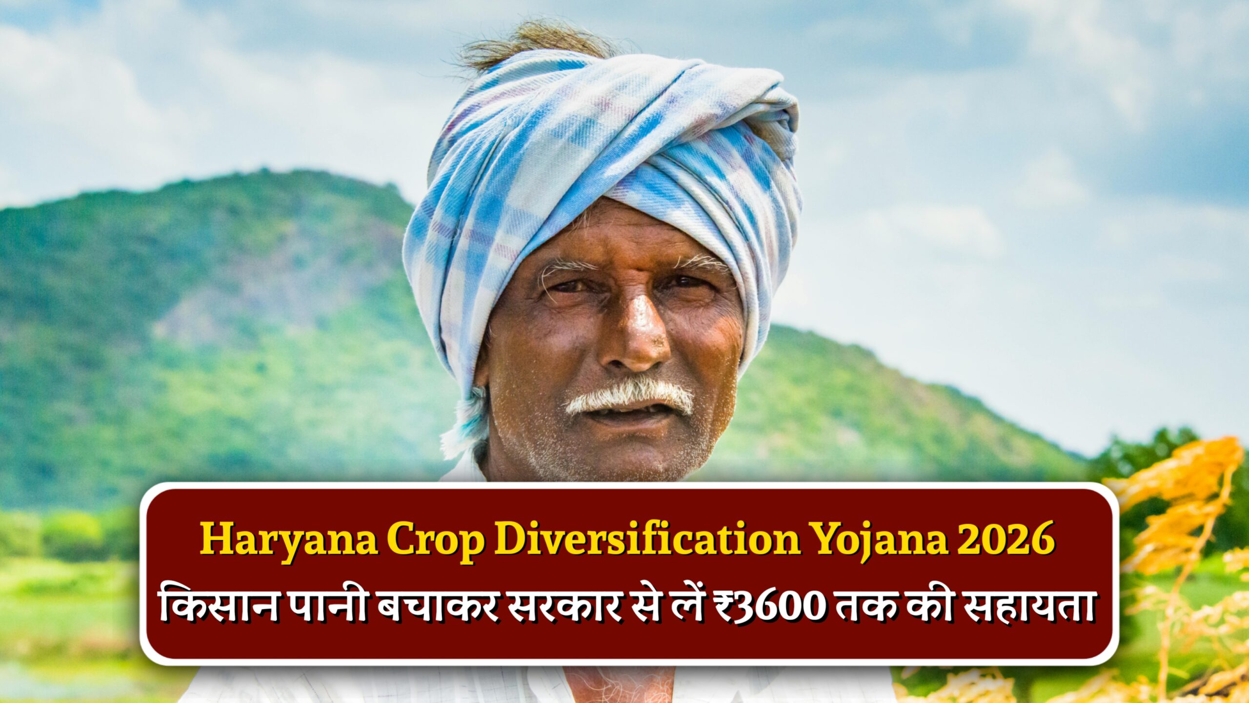 Haryana Crop Diversification Yojana 2026